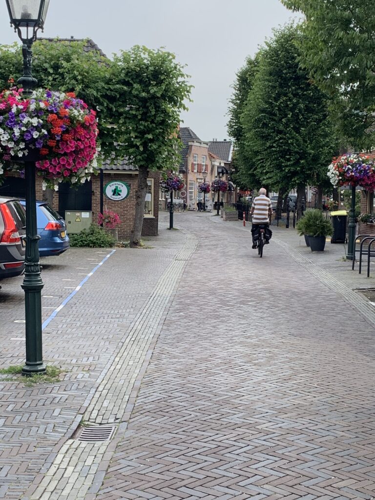 Cityflower levert en verzorgd prachtige hanging baskets en bloembakken voor in uw gemeente, centrum en/of bedrijfsterrein