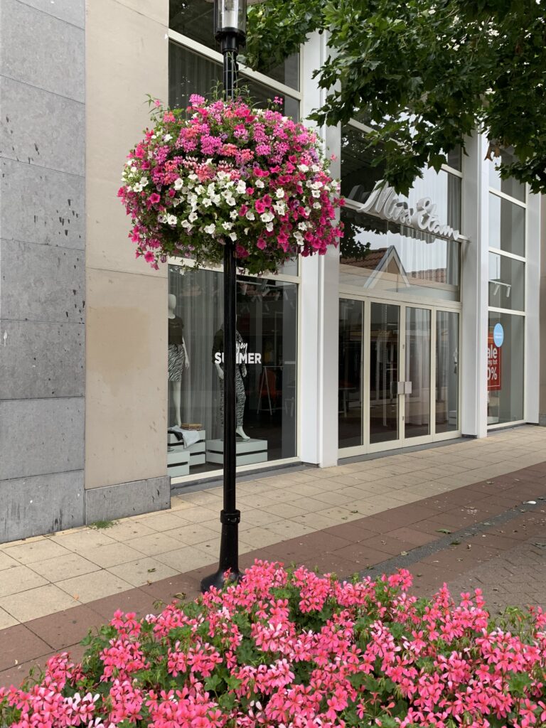 Cityflower levert en verzorgd prachtige hanging baskets en bloembakken voor in uw gemeente, centrum en/of bedrijfsterrein