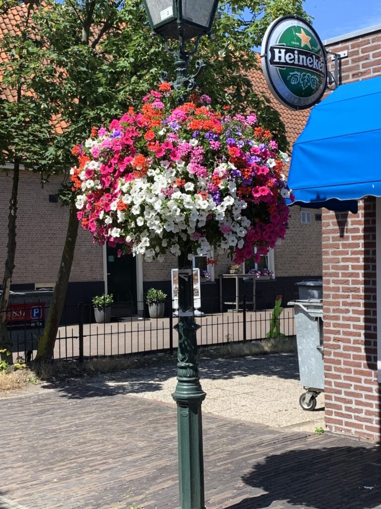 Cityflower levert en verzorgd prachtige hanging baskets en bloembakken voor in uw gemeente, centrum en/of bedrijfsterrein