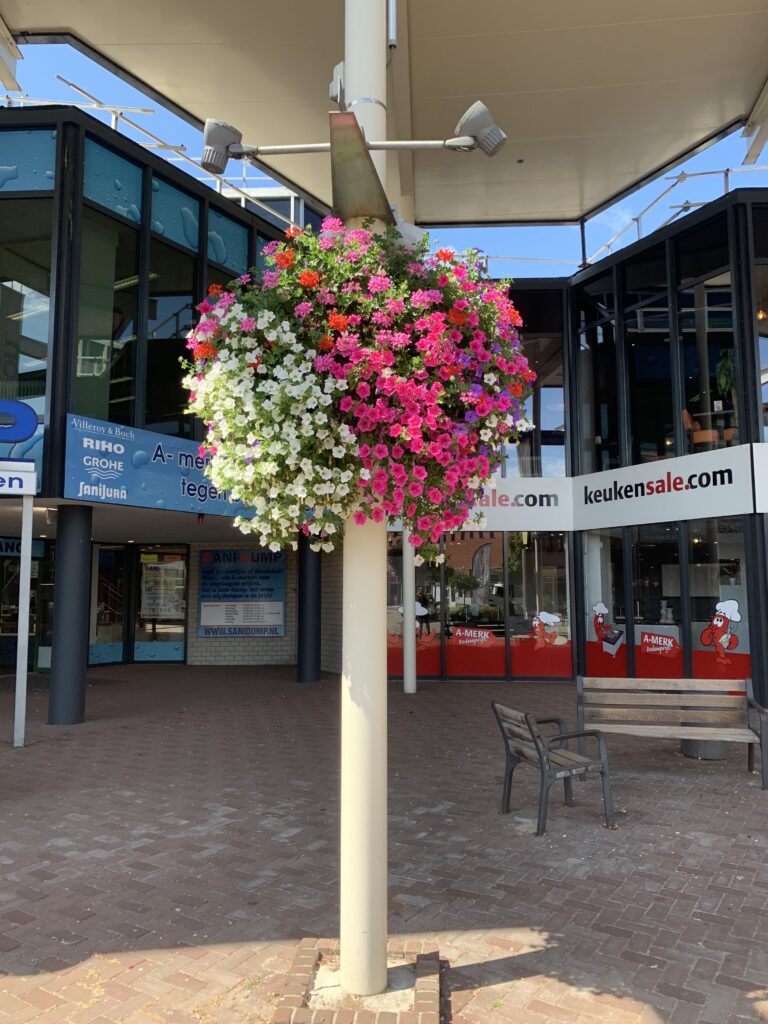 Cityflower levert en verzorgd prachtige hanging baskets en bloembakken voor in uw gemeente, centrum en/of bedrijfsterrein