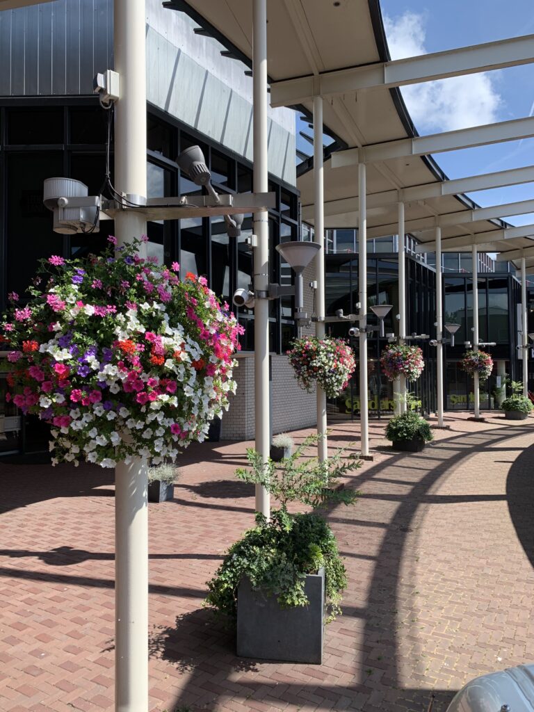 Cityflower levert en verzorgd prachtige hanging baskets en bloembakken voor in uw gemeente, centrum en/of bedrijfsterrein