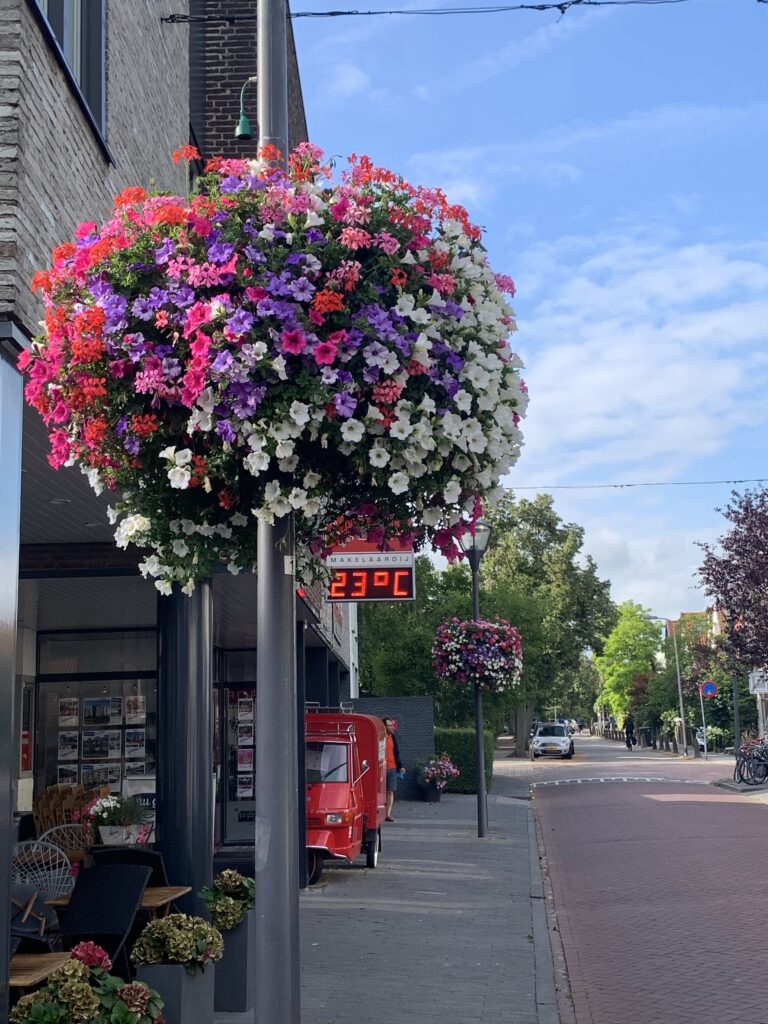 Cityflower levert en verzorgd prachtige hanging baskets en bloembakken voor in uw gemeente, centrum en/of bedrijfsterrein