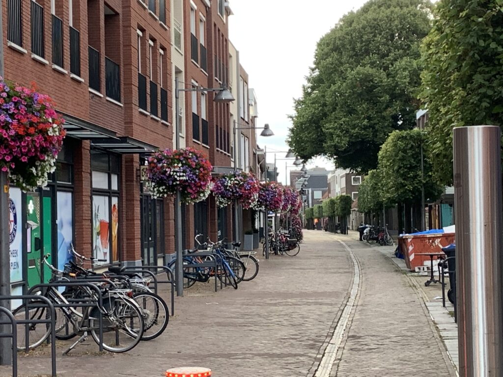 Cityflower levert en verzorgd prachtige hanging baskets en bloembakken voor in uw gemeente, centrum en/of bedrijfsterrein