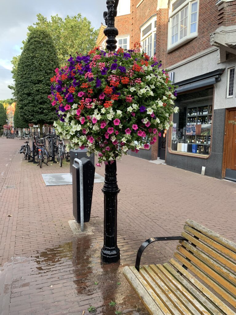 Cityflower levert en verzorgd prachtige hanging baskets en bloembakken voor in uw gemeente, centrum en/of bedrijfsterrein