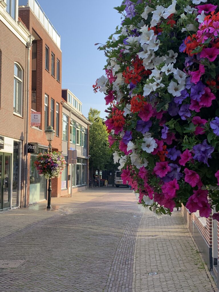 Cityflower levert en verzorgd prachtige hanging baskets en bloembakken voor in uw gemeente, centrum en/of bedrijfsterrein