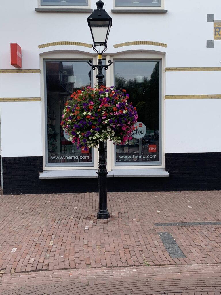 Cityflower levert en verzorgd prachtige hanging baskets en bloembakken voor in uw gemeente, centrum en/of bedrijfsterrein