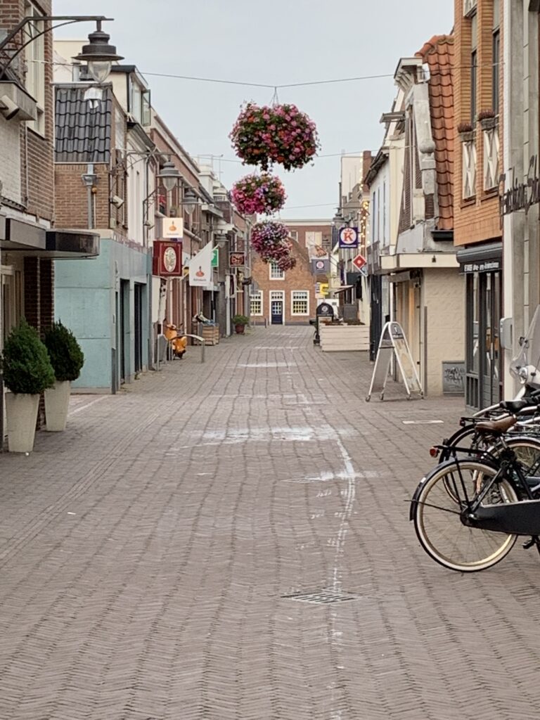 Cityflower levert en verzorgd prachtige hanging baskets en bloembakken voor in uw gemeente, centrum en/of bedrijfsterrein