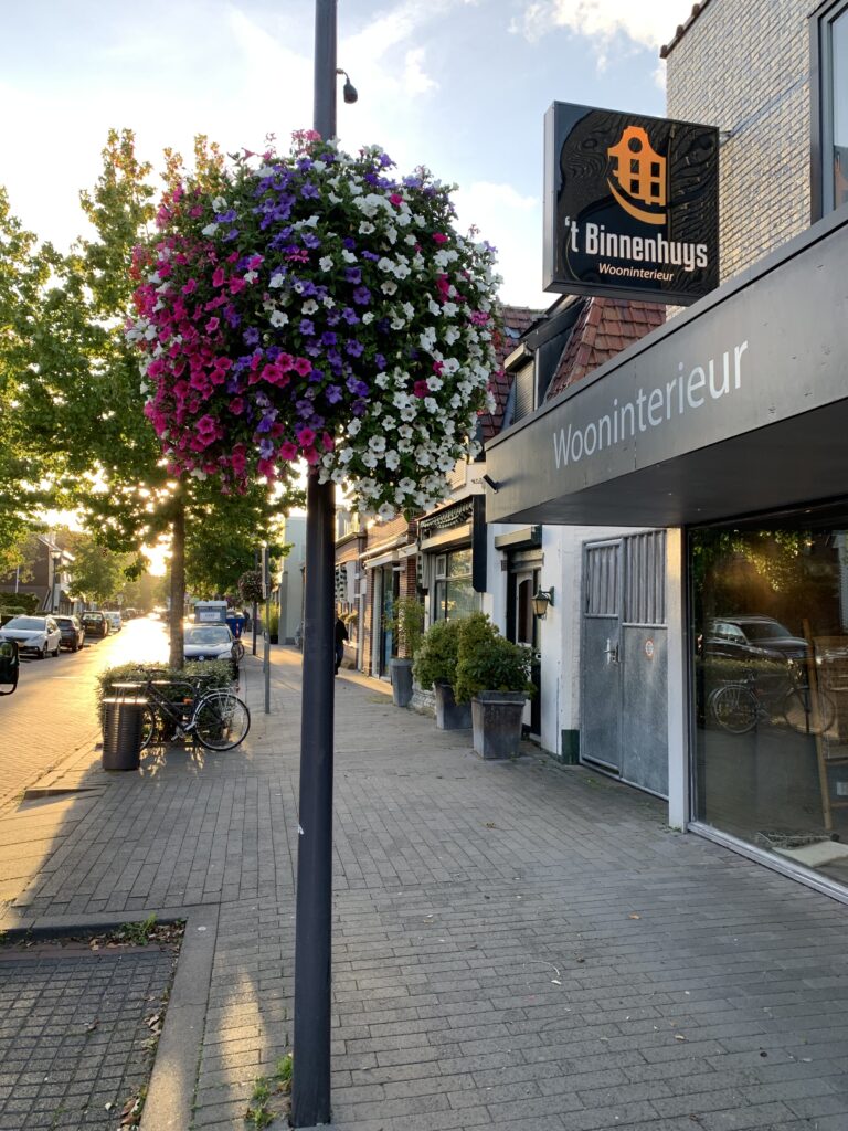 Cityflower levert en verzorgd prachtige hanging baskets en bloembakken voor in uw gemeente, centrum en/of bedrijfsterrein