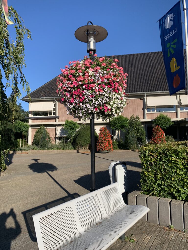 Cityflower levert en verzorgd prachtige hanging baskets en bloembakken voor in uw gemeente, centrum en/of bedrijfsterrein