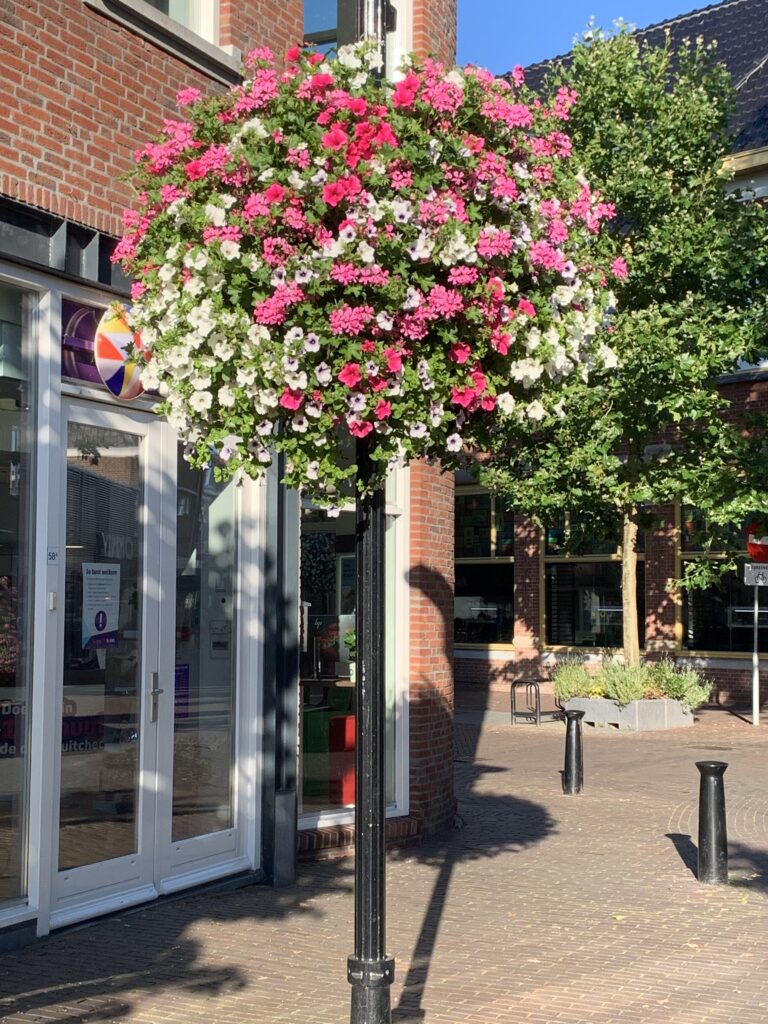 Cityflower levert en verzorgd prachtige hanging baskets en bloembakken voor in uw gemeente, centrum en/of bedrijfsterrein