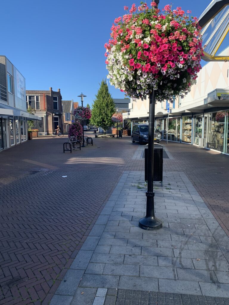 Cityflower levert en verzorgd prachtige hanging baskets en bloembakken voor in uw gemeente, centrum en/of bedrijfsterrein