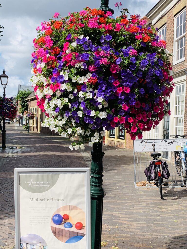 Cityflower levert en verzorgd prachtige hanging baskets en bloembakken voor in uw gemeente, centrum en/of bedrijfsterrein