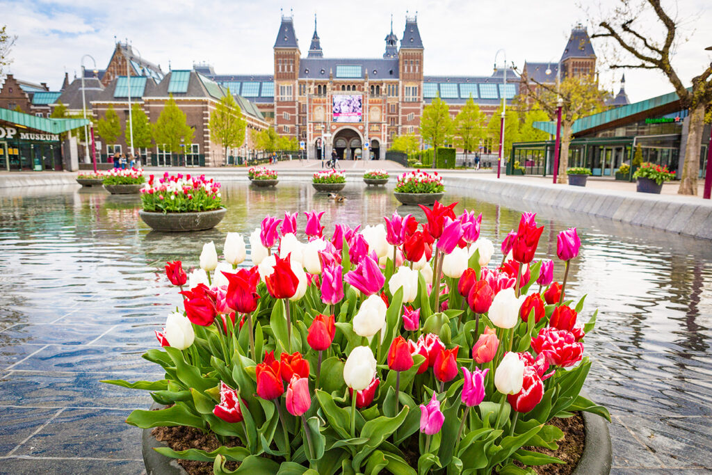 Cityflower levert en verzorgd prachtige hanging baskets en bloembakken voor in uw gemeente, centrum en/of bedrijfsterrein