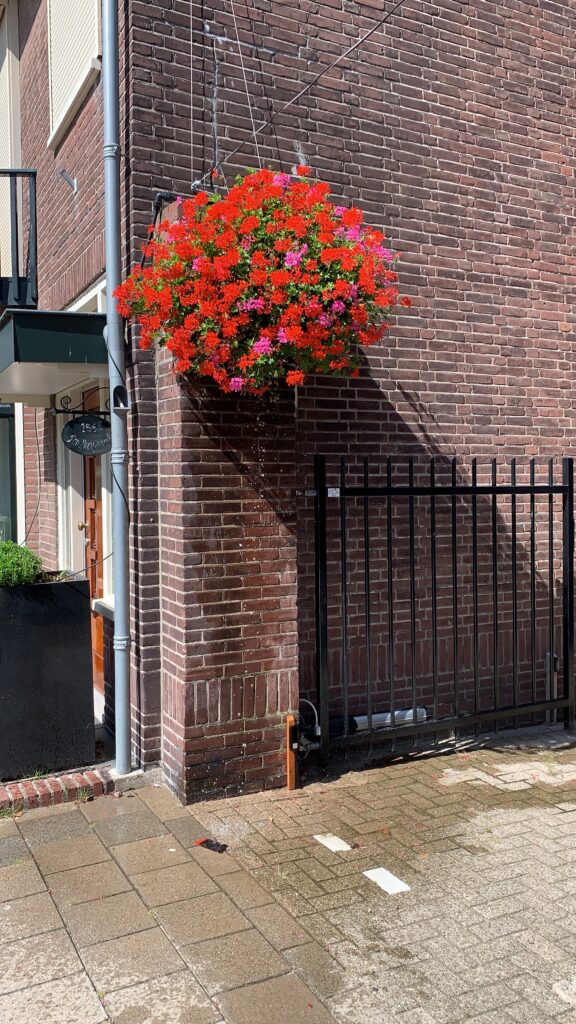 Cityflower levert en verzorgd prachtige hanging baskets en bloembakken voor in uw gemeente, centrum en/of bedrijfsterrein